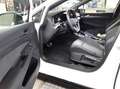 Volkswagen Golf VIII 1.5 eTSI DSG DAB+ LEDPlus FrontAssist Weiß - thumbnail 3