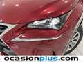 Lexus NX 300 300h Corporate 2WD Rojo - thumbnail 16