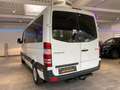 Mercedes-Benz Sprinter 311 CDI *8-Sitzer*Lang* Klima* Weiß - thumbnail 14