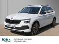 Skoda Kamiq Selection 1.0 TSI 7-Gang-DSG Weiß - thumbnail 1