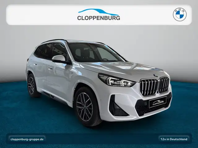 BMW X1 view 9