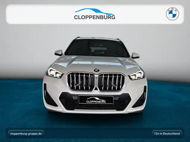 BMW X1 view 10