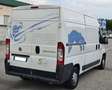 Fiat Ducato 35 MH2 2.3 mjt 130cv Weiß - thumbnail 7