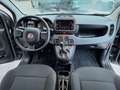 Fiat Panda Base Grau - thumbnail 14