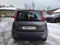 Fiat Panda Base Grau - thumbnail 6