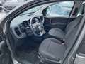 Fiat Panda Base Grau - thumbnail 9