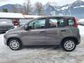 Fiat Panda Base Grau - thumbnail 8