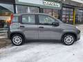 Fiat Panda Base Grau - thumbnail 4