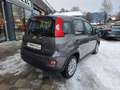 Fiat Panda Base Grau - thumbnail 5