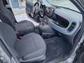 Fiat Panda Base Grau - thumbnail 13