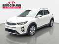 Kia Stonic STONIC 1.2 VISION MJ25 LED SITZH. NAVI Weiß - thumbnail 1
