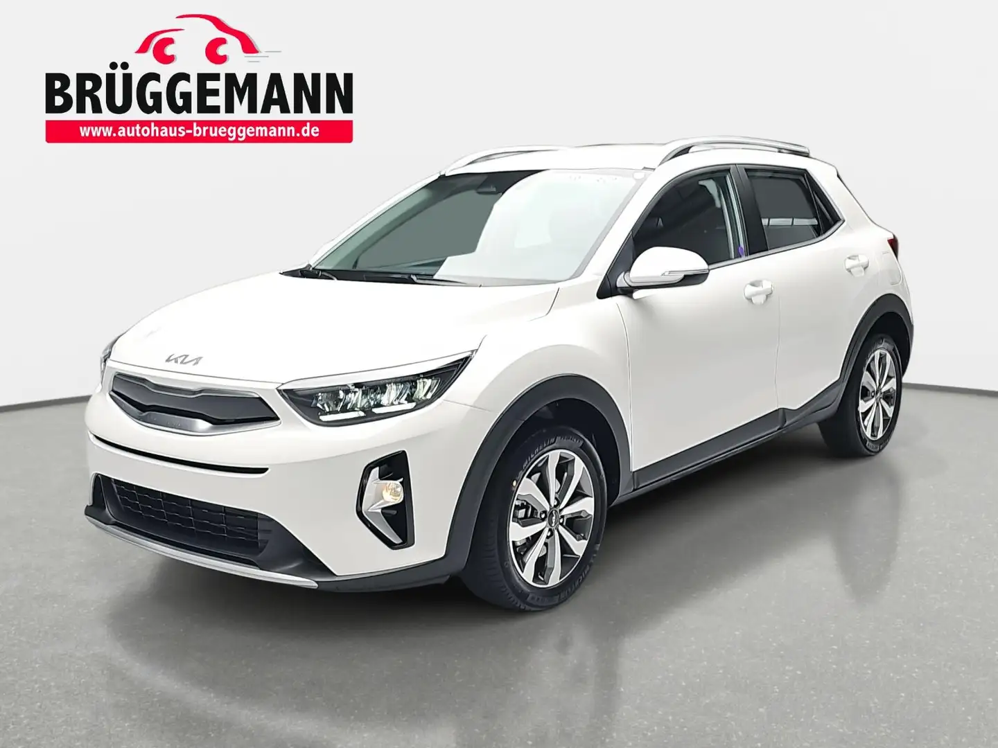 Kia Stonic STONIC 1.2 VISION MJ25 LED SITZH. NAVI Weiß - 1
