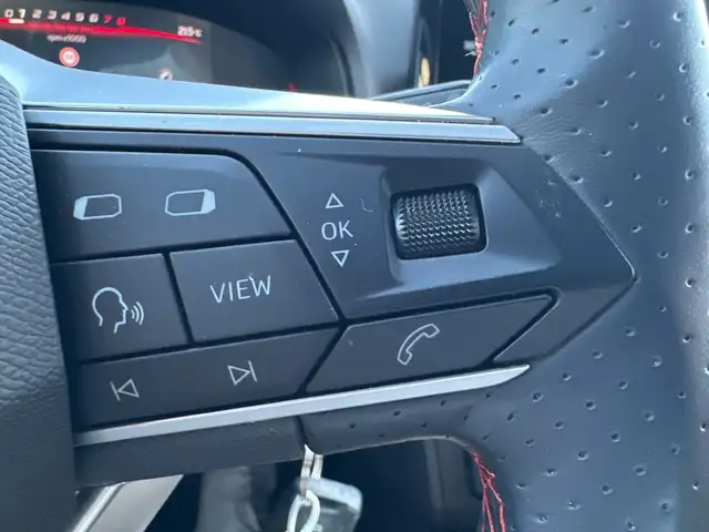 Seat Ibiza view 14