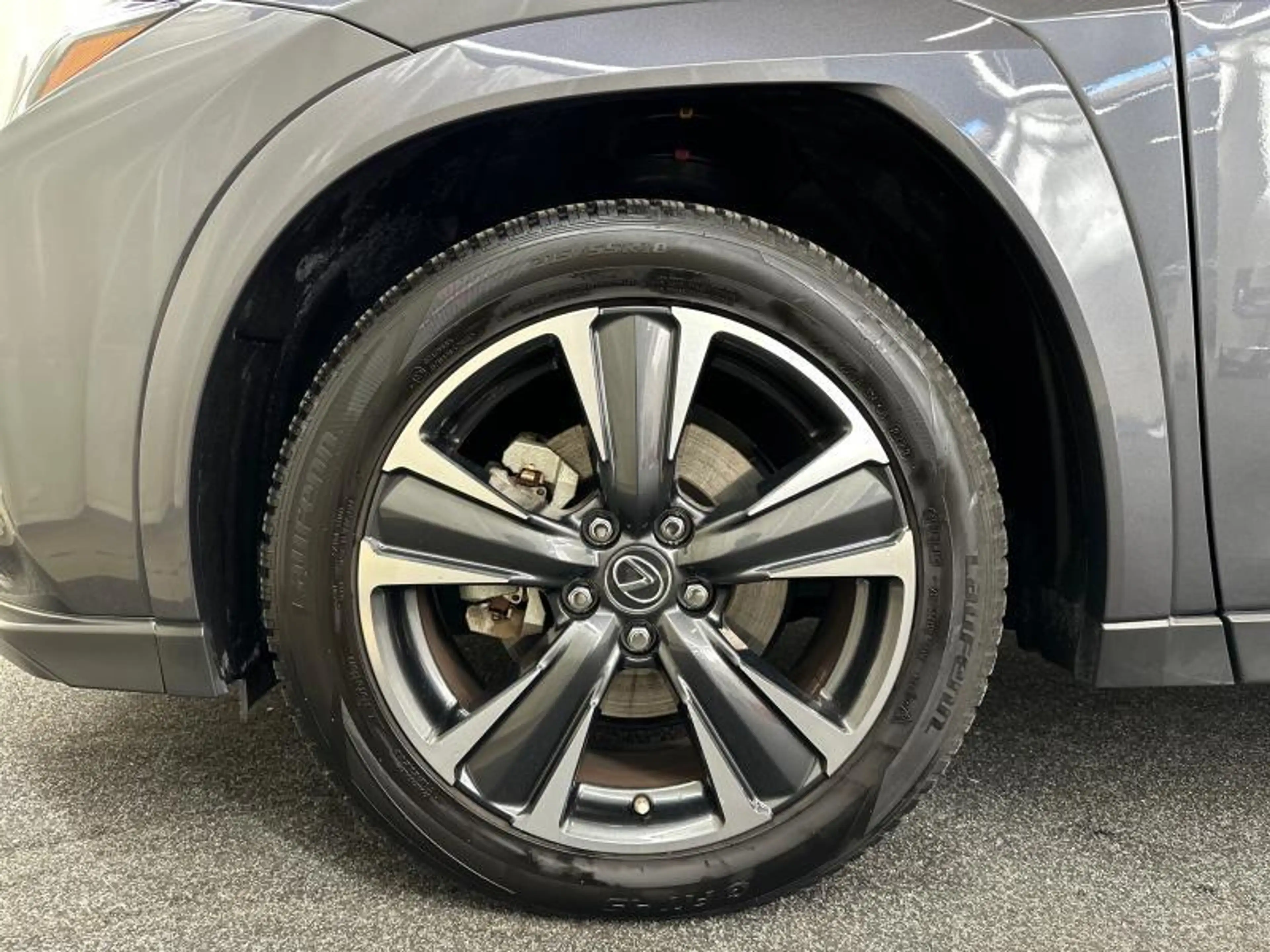 Lexus UX 250h Privilege Line & Mark Levinson — photo 15