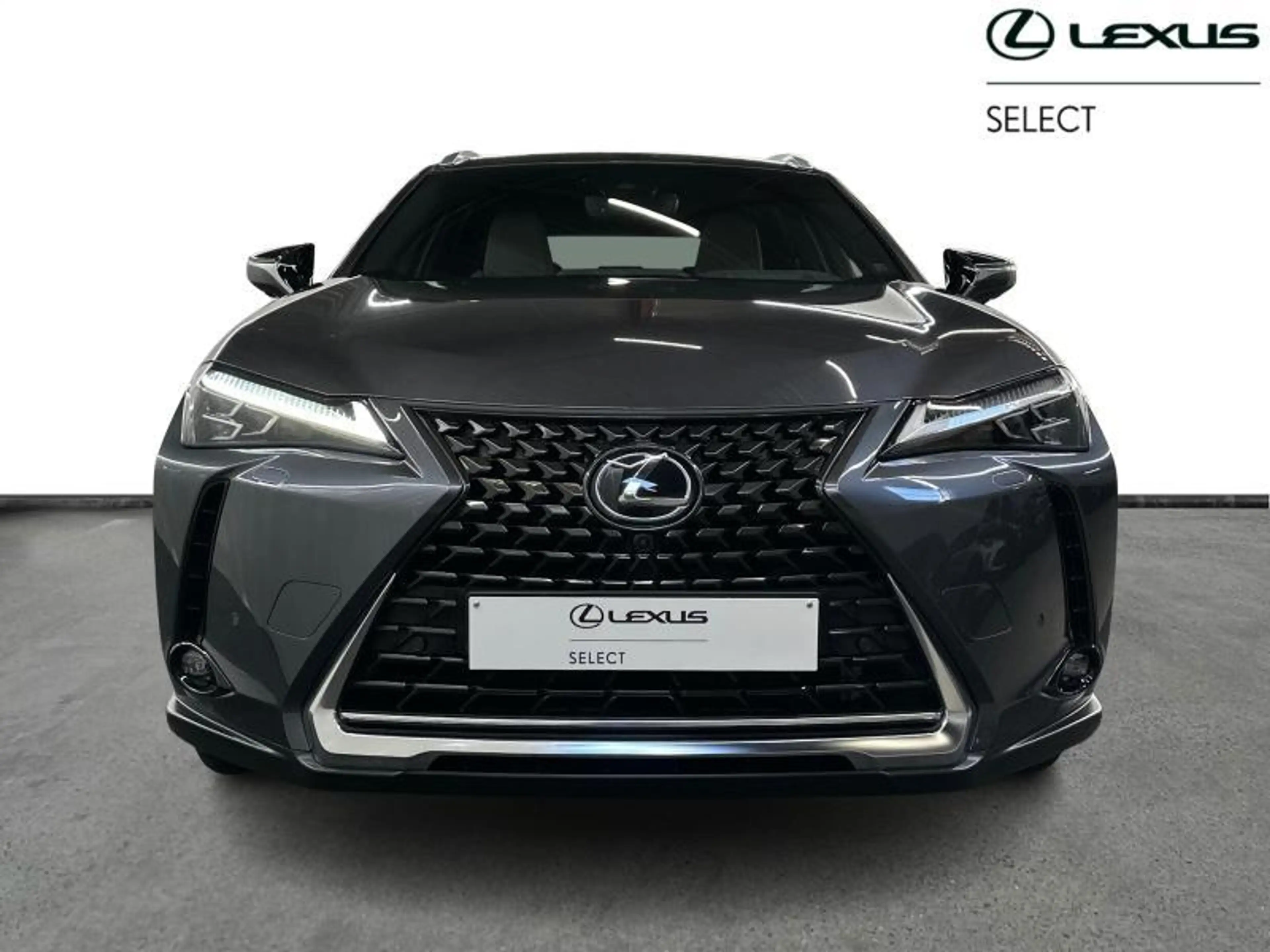 Lexus UX 250h Privilege Line & Mark Levinson — photo 7