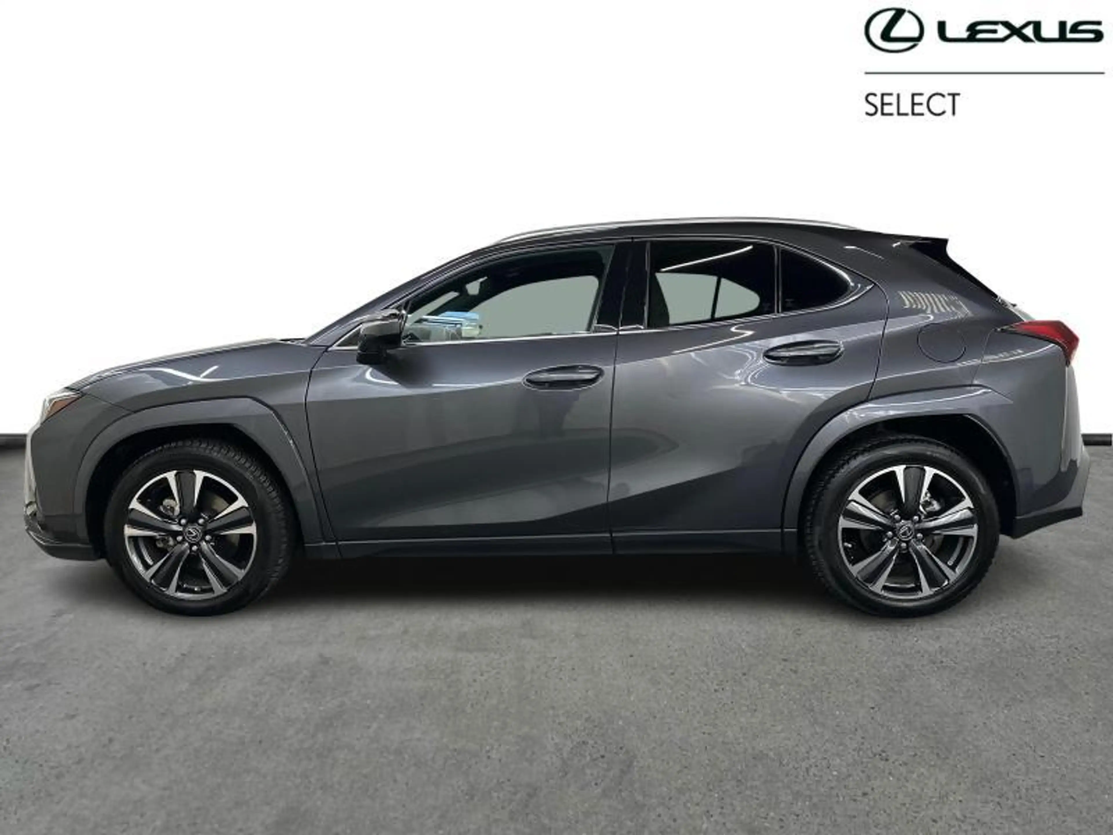 Lexus UX 250h Privilege Line & Mark Levinson — photo 5