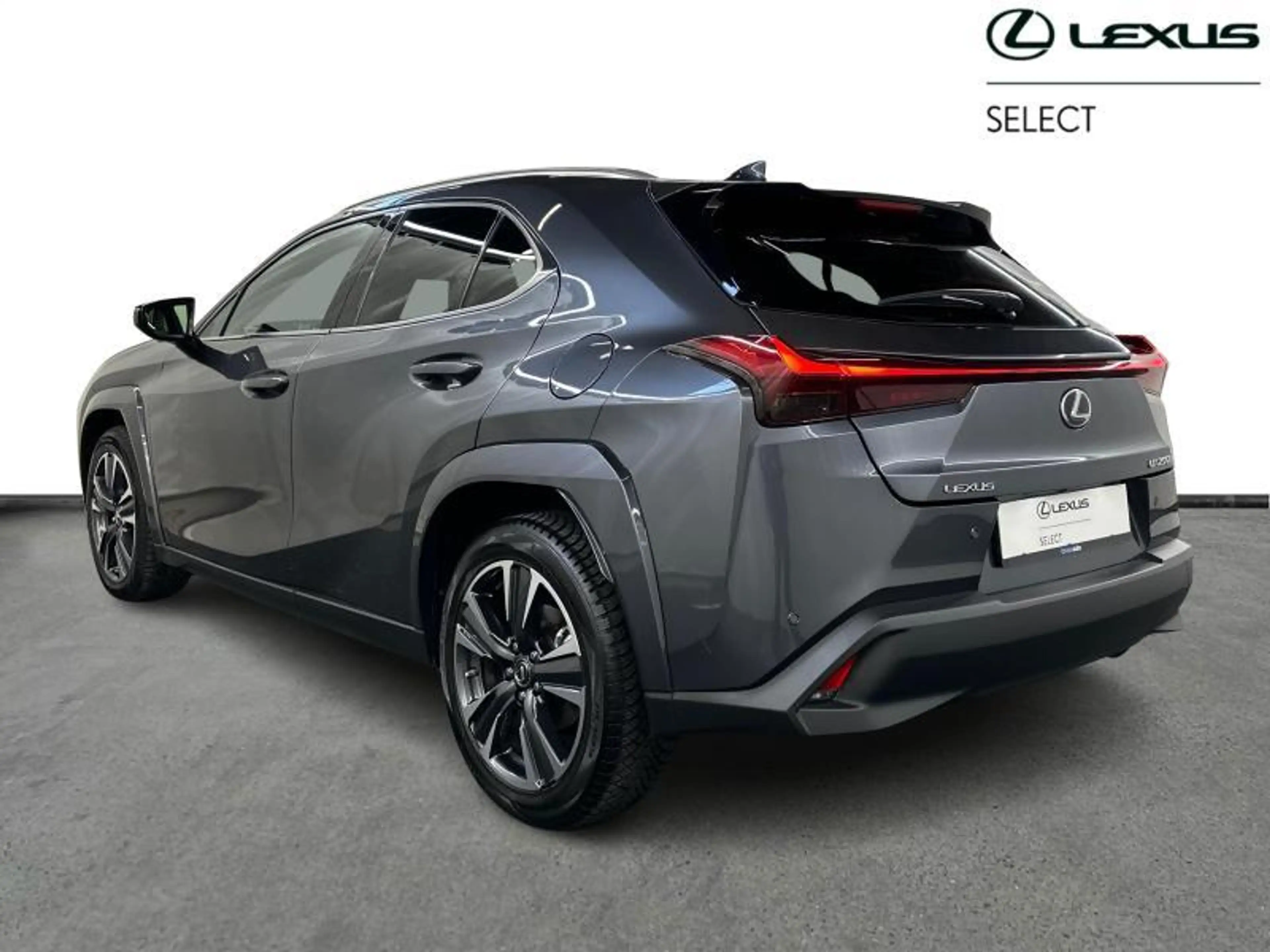 Lexus UX 250h Privilege Line & Mark Levinson — photo 3