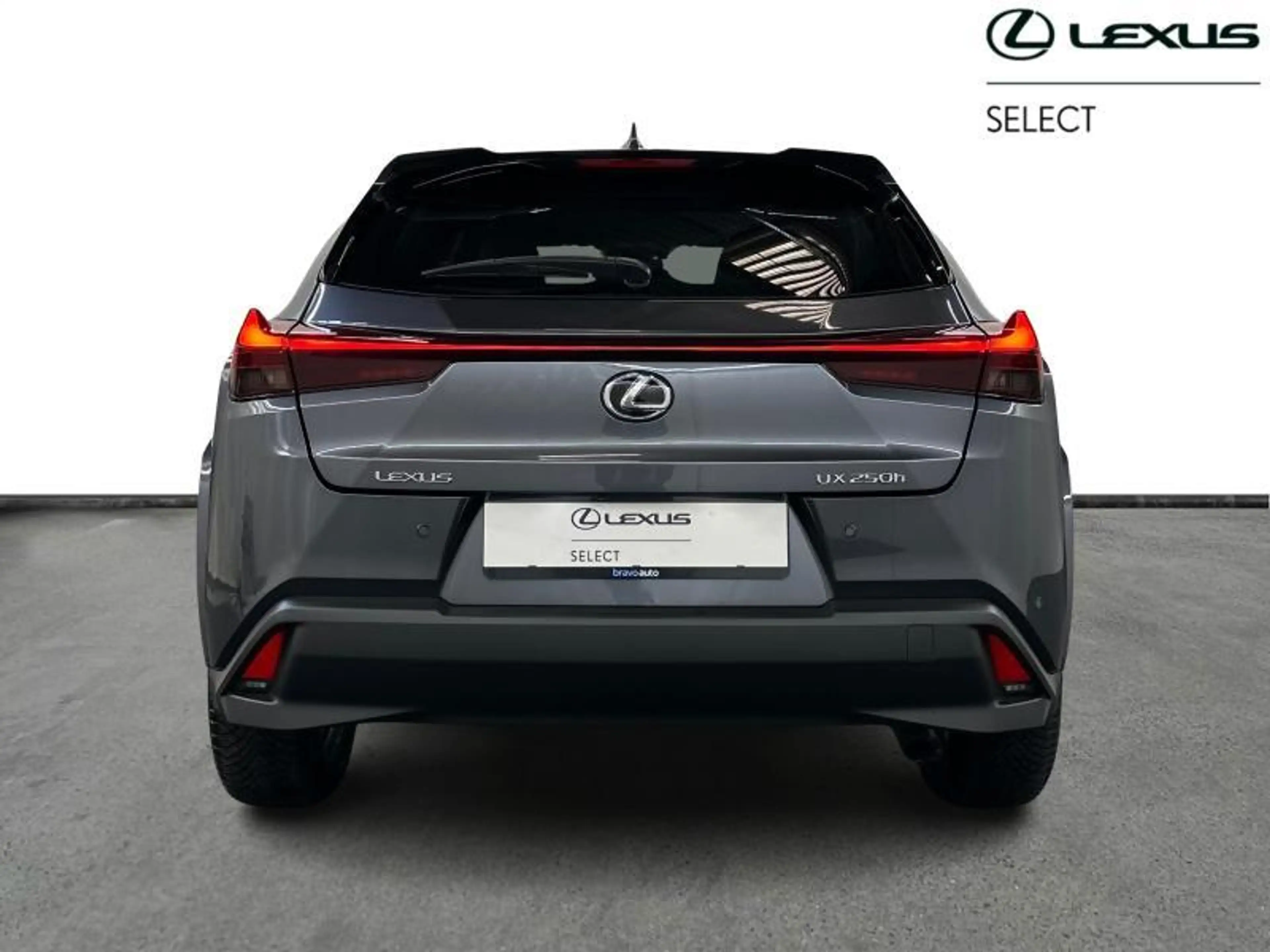 Lexus UX 250h Privilege Line & Mark Levinson — photo 6