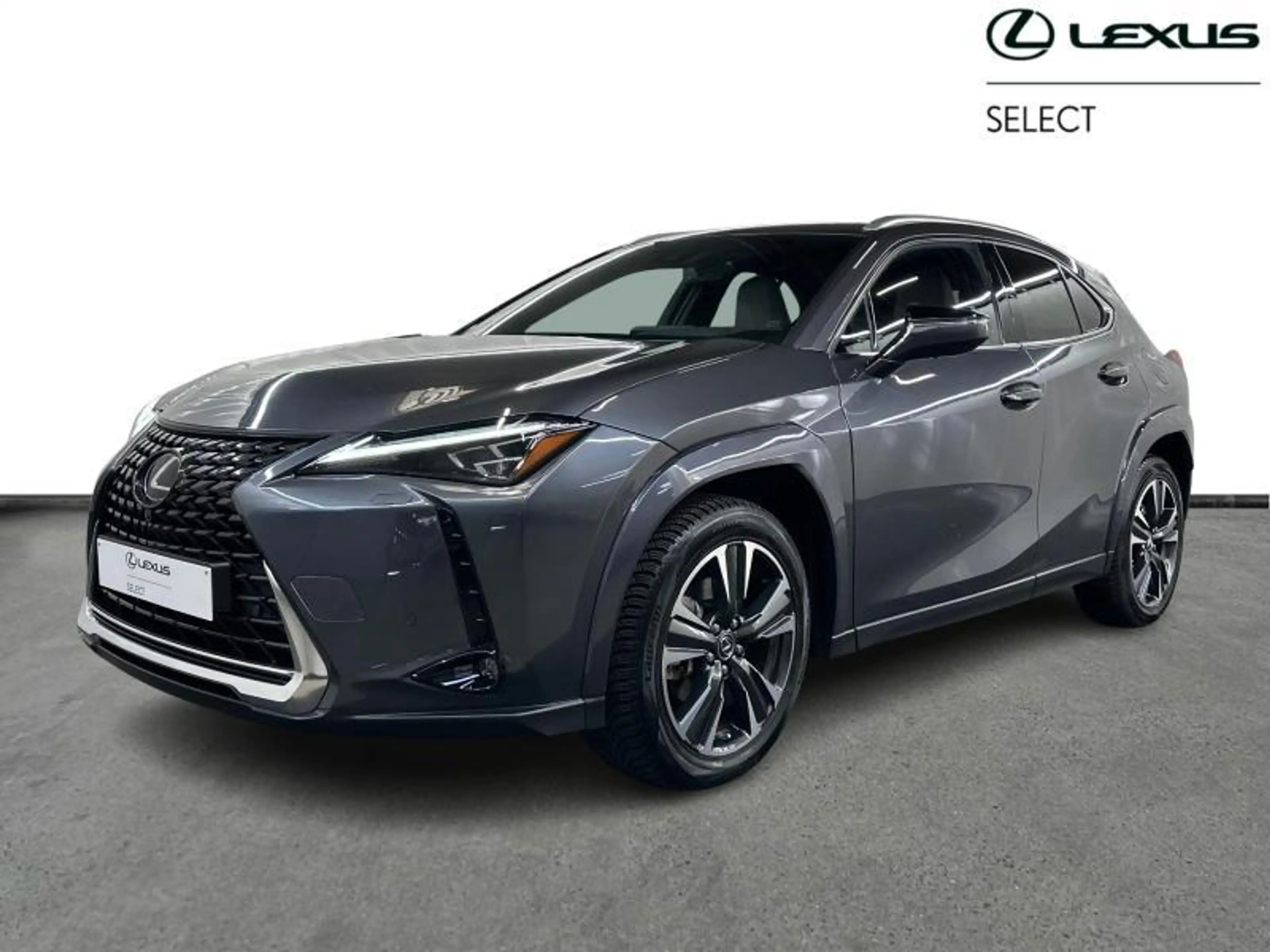 Lexus UX 250h Privilege Line & Mark Levinson