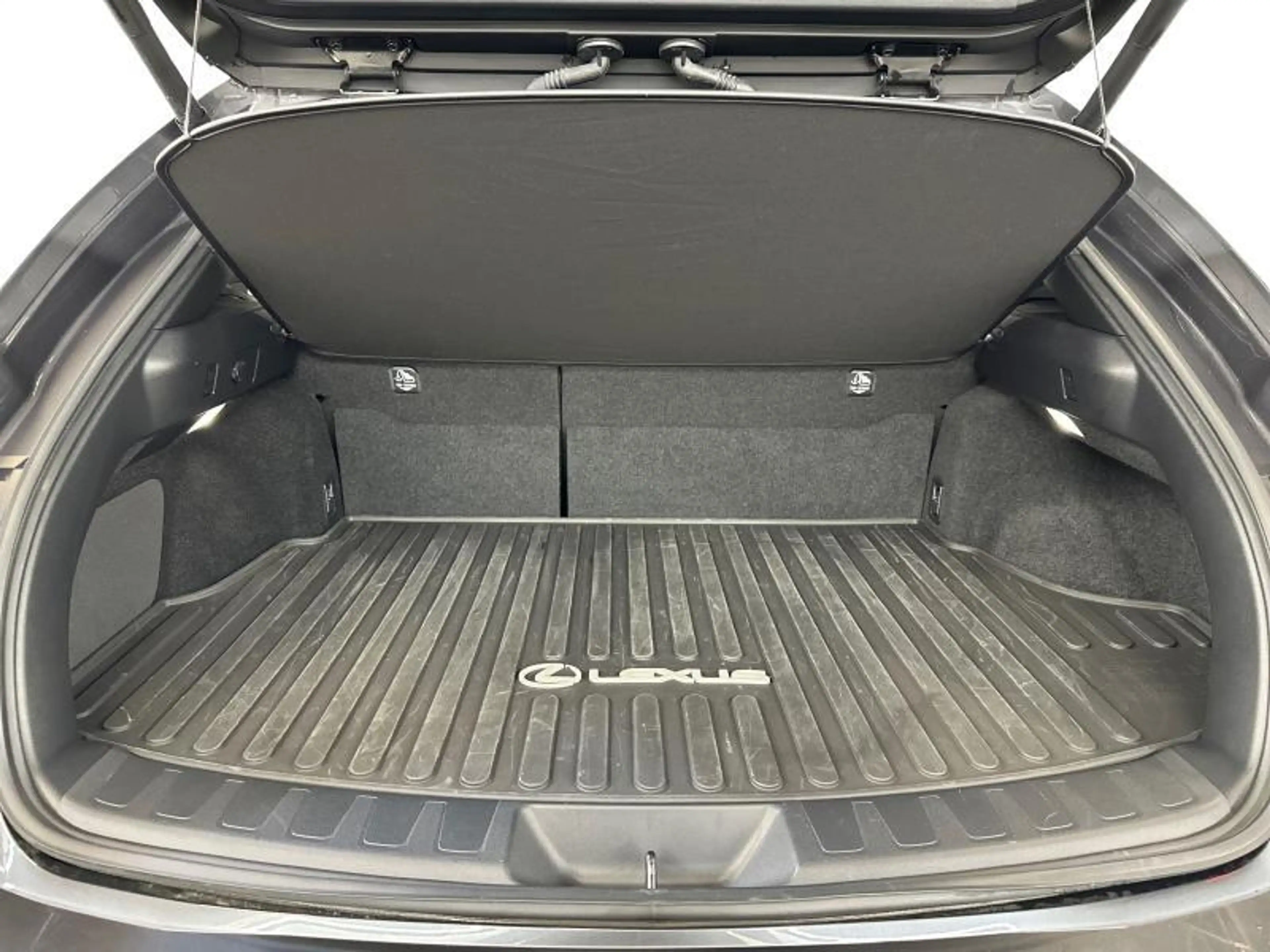 Lexus UX 250h Privilege Line & Mark Levinson — photo 11