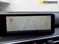 Kia Sorento 2.2 CRDi DCT AWD Platinum 7-Sitze ACC Weiß - thumbnail 10
