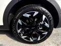 Kia Sorento 2.2 CRDi DCT AWD Platinum 7-Sitze ACC Weiß - thumbnail 11
