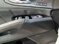 Kia Sorento 2.2 CRDi DCT AWD Platinum 7-Sitze ACC Blanc - thumbnail 13
