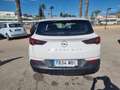Opel Grandland 1.5CDTi S&S Business Edition Aut. 130 Weiß - thumbnail 5