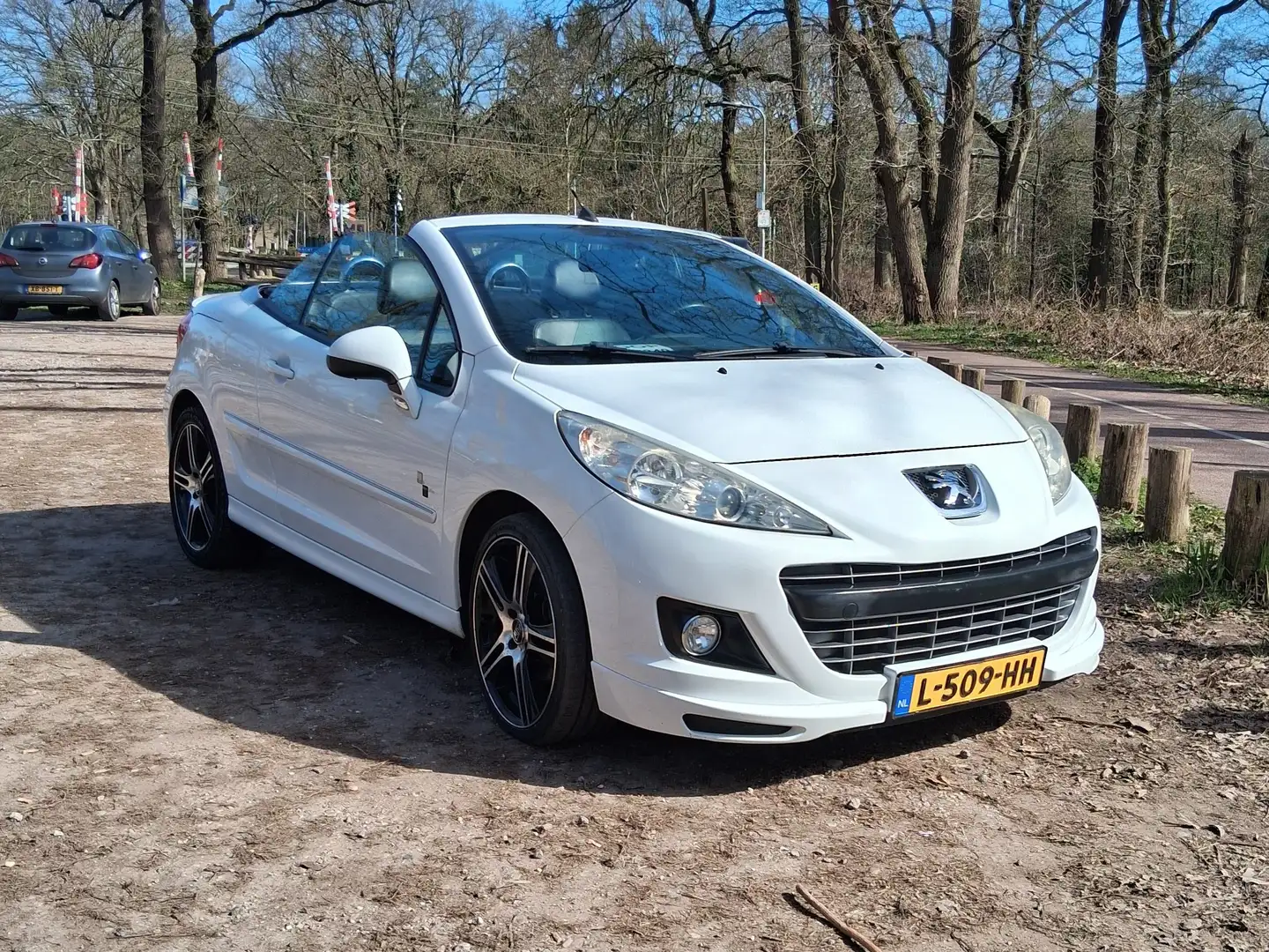 Peugeot 207 1.6 VTi Roland G. Wit - 1