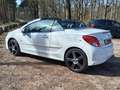 Peugeot 207 1.6 VTi Roland G. Wit - thumbnail 7