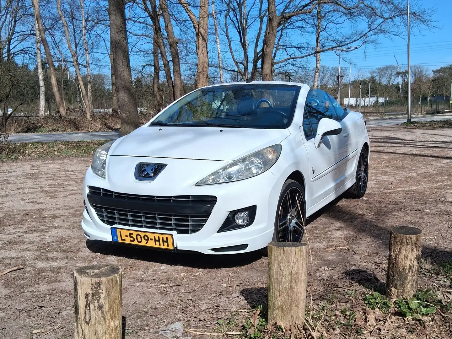 Peugeot 207 1.6 VTi Roland G. Wit - 2