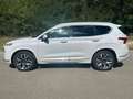 Hyundai SANTA FE SANTA Fe 2.2 CRDi Signature *Pano*Standhzg*AHK* Blanc - thumbnail 7