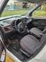 Fiat Doblo 1.6 mjt 16v Trekking 120cv - thumbnail 5