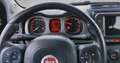 Fiat Panda Panda III 2021 4x4 Cross 0.9 t.air 4x4 Šedá - thumbnail 7