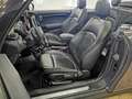 MINI Cooper S Cabrio COOPER S Cabrio | NAVI | LED +[12M.GARANTIE]  Grau - thumbnail 14