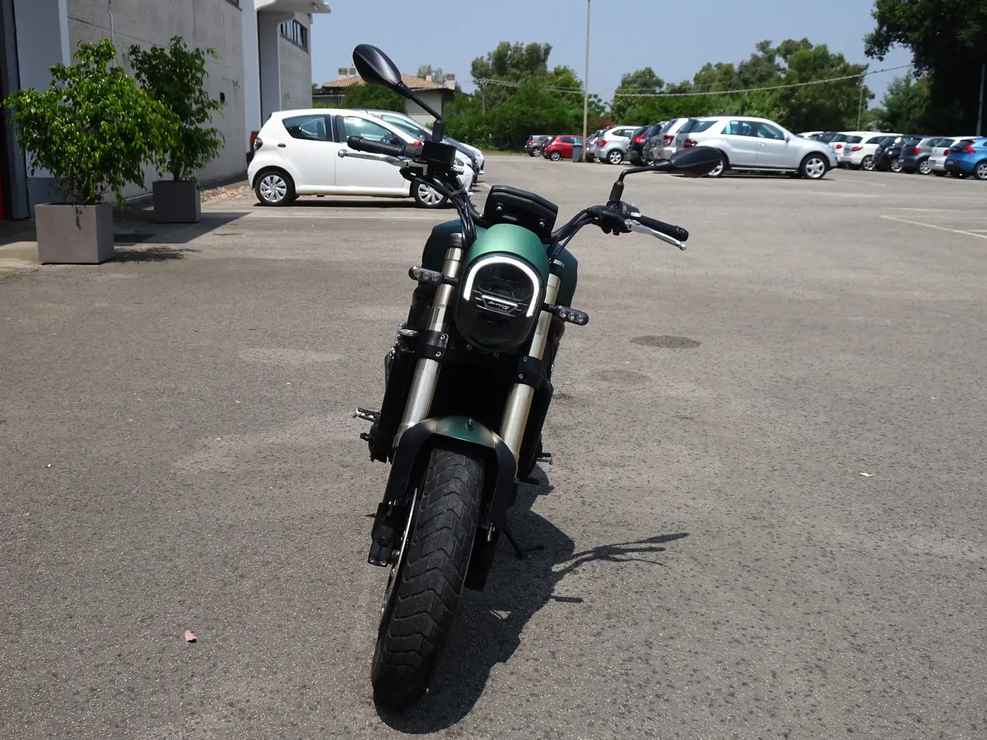 Benelli Leoncino 800 Verde - 2