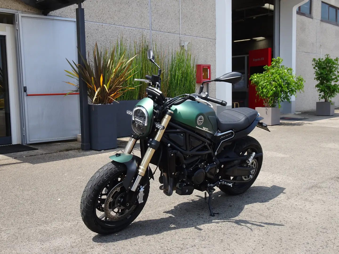 Benelli Leoncino 800 Verde - 1