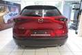 Mazda CX-30 e-SKYACTIV G 150 6AT FWD Exclusive-Line Rojo - thumbnail 4