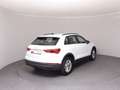 Audi Q3 35 TFSI intense Weiß - thumbnail 4