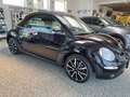 Volkswagen New Beetle VW New Beetle Cabrio - Leder 1.4 Schwarz - thumbnail 4