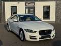 Jaguar XE Pure Performance*XENON*NAVI*LEDER*KAMERA*TOP* Weiß - thumbnail 1