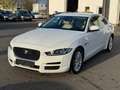 Jaguar XE Pure Performance*XENON*NAVI*LEDER*KAMERA*TOP* Weiß - thumbnail 3