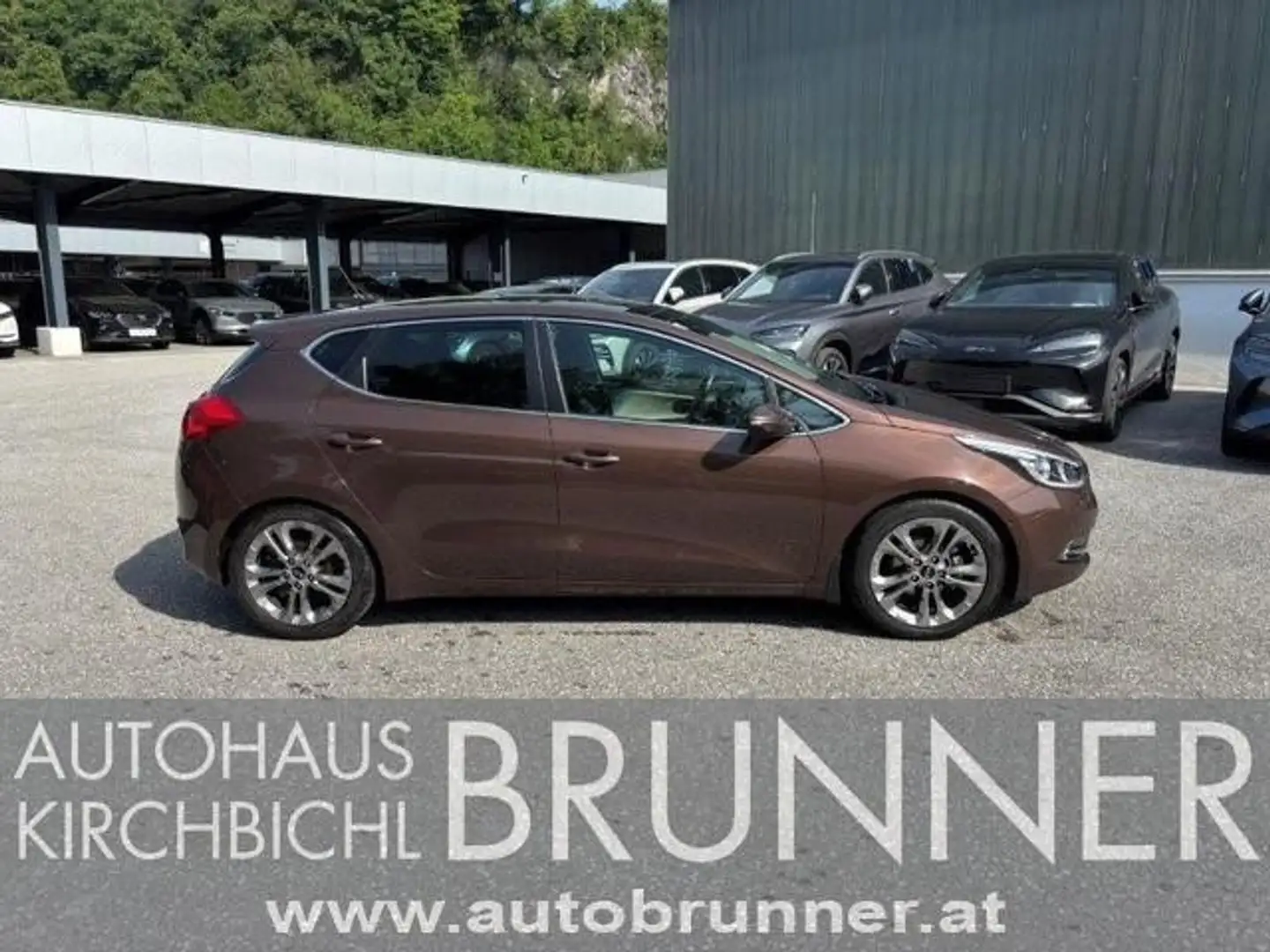 Kia Ceed / cee'd cee'd 1,6 CRDi Dynamic Pro Marrón - 1