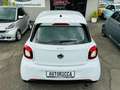 smart forFour Turbo 90CV TOTAL WHITE *FULL OPTIONAL*UNICO PROPR* Bianco - thumbnail 13