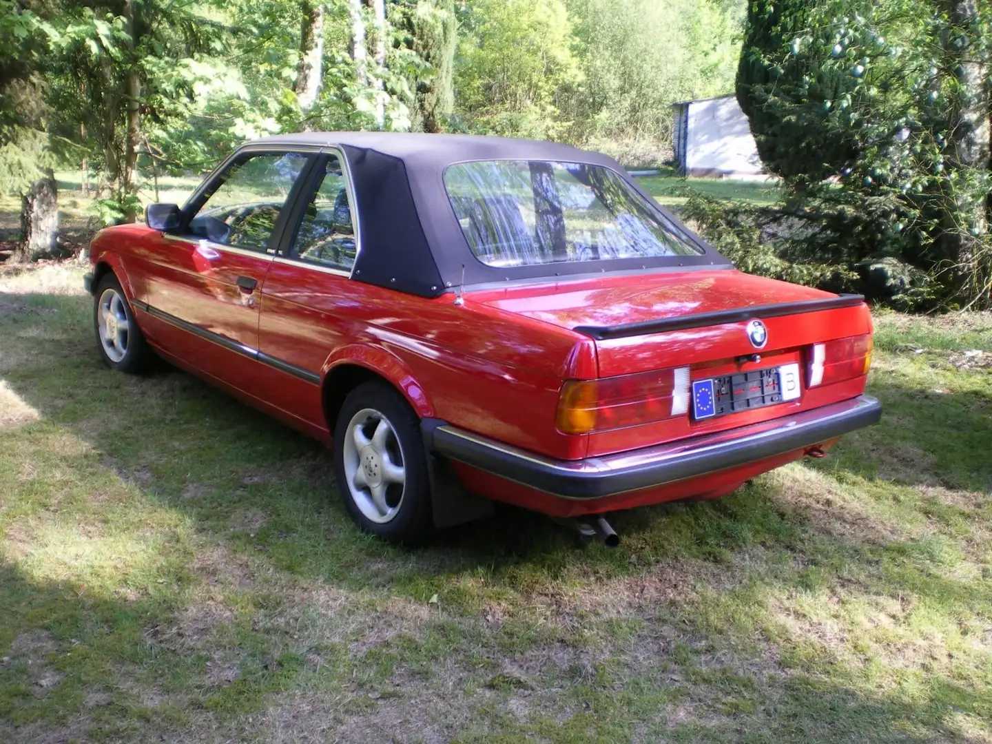 BMW 318 318i Rojo - 1