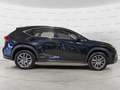 Lexus NX 300 Hybrid 4WD Executive UNICO PROPRIETARIO Nero - thumbnail 7