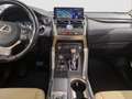 Lexus NX 300 Hybrid 4WD Executive UNICO PROPRIETARIO Nero - thumbnail 13