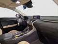 Lexus NX 300 Hybrid 4WD Executive UNICO PROPRIETARIO Nero - thumbnail 11