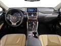 Lexus NX 300 Hybrid 4WD Executive UNICO PROPRIETARIO Nero - thumbnail 10
