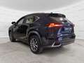 Lexus NX 300 Hybrid 4WD Executive UNICO PROPRIETARIO Nero - thumbnail 4